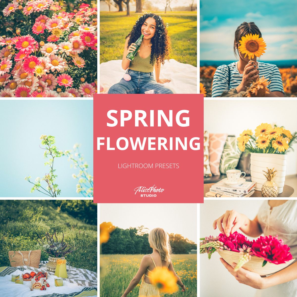 Spring Flowering Pack