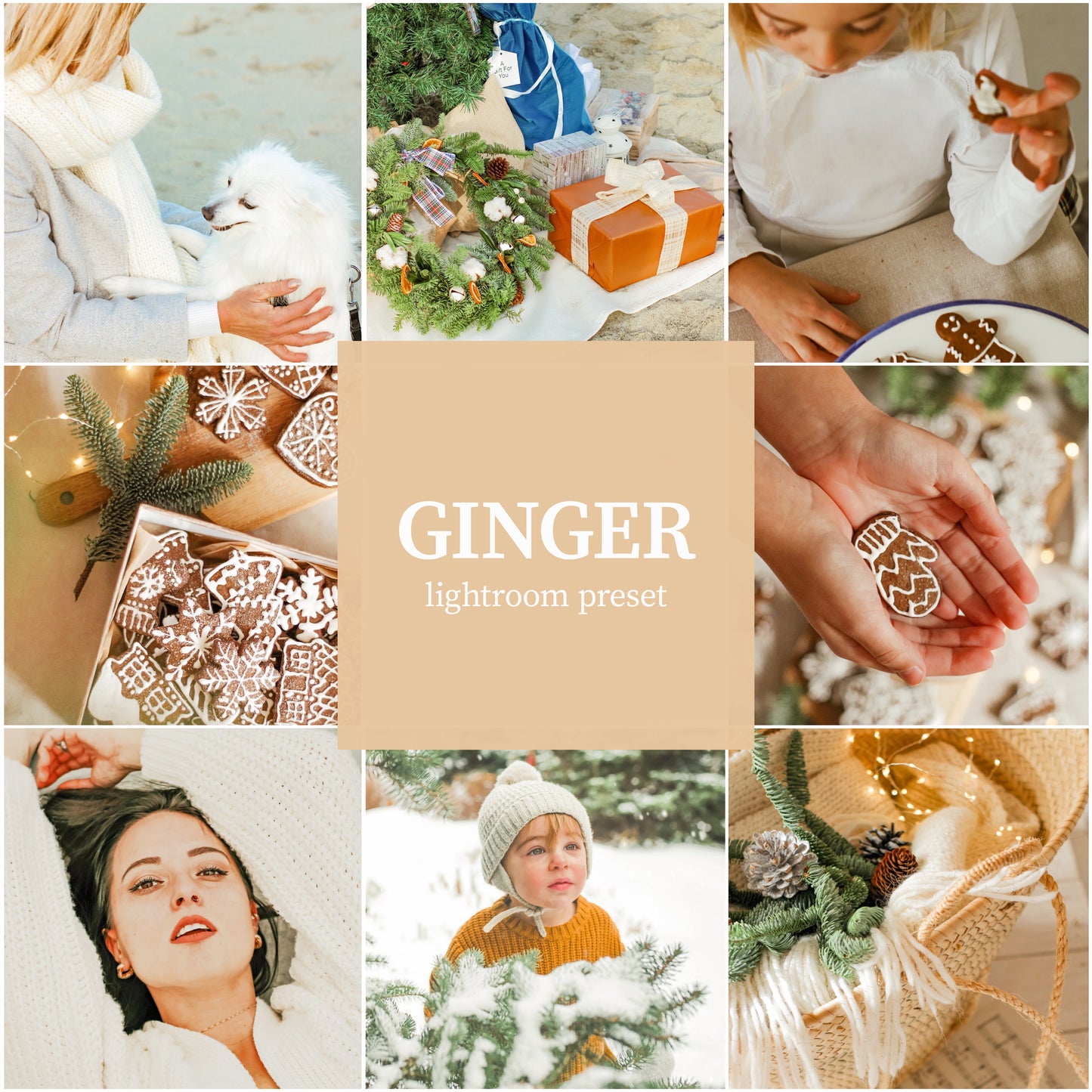 Ginger Pack - Alicephotostudio