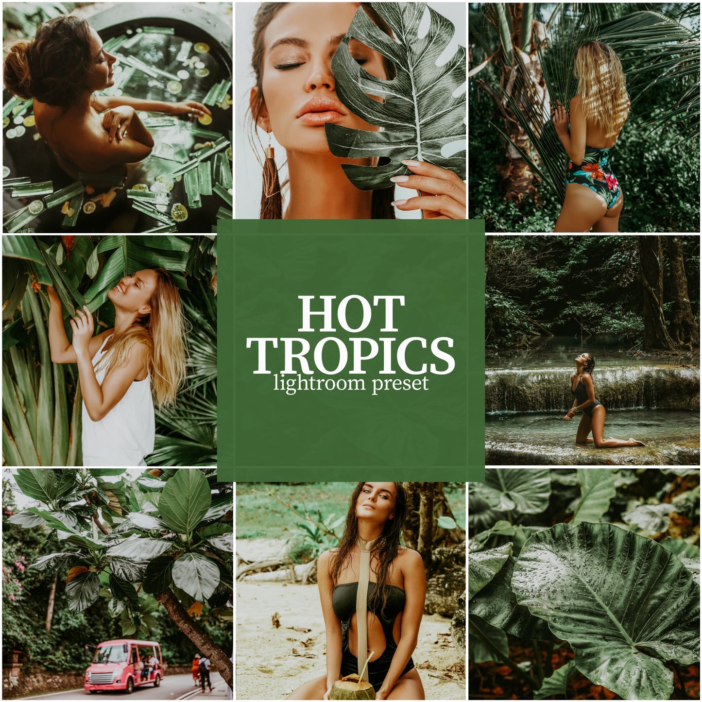 Hot Tropics - Alicephotostudio